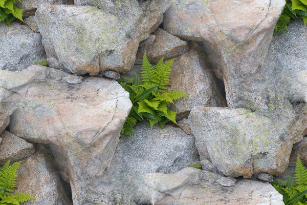 deformation