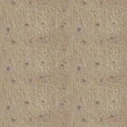 motif