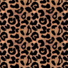 motif